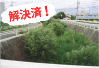 解決済!和泉川河川整備の調査(庄内地区)