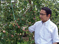 平成21年06月27日 松本市今井地区降氷被害地区のりんご園を視察し早急な対応策を検討する